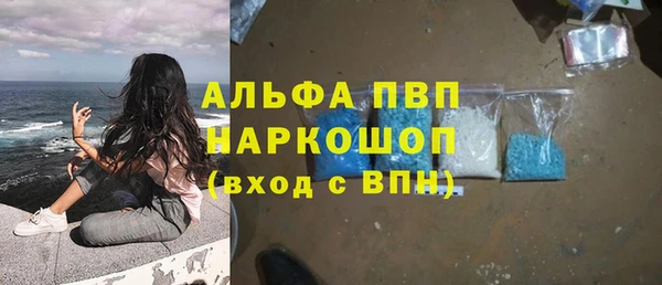 индика Магадан