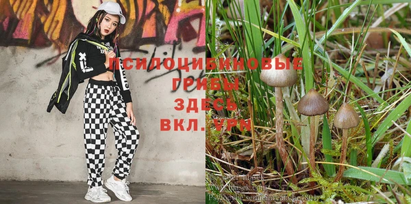 spice Липки
