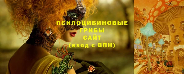 индика Магадан
