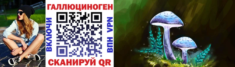 Галлюциногенные грибы Psilocybine cubensis  Пятигорск 