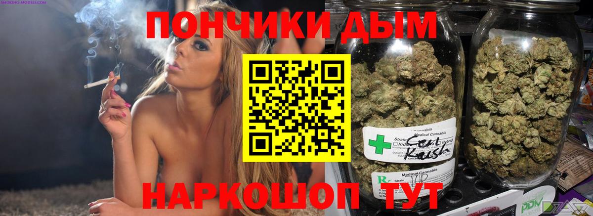 Бошки Шишки план Пятигорск